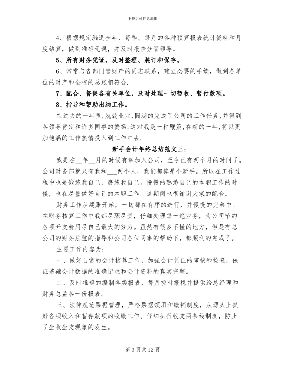 2024年新手会计年终总结范文_第3页