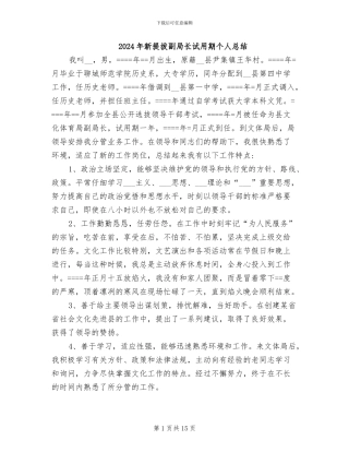 2024年新提拔副局长试用期个人总结