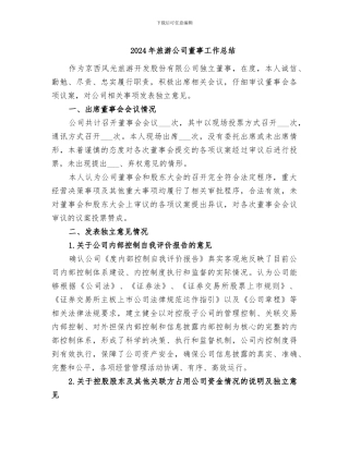 2024年旅游公司董事工作总结