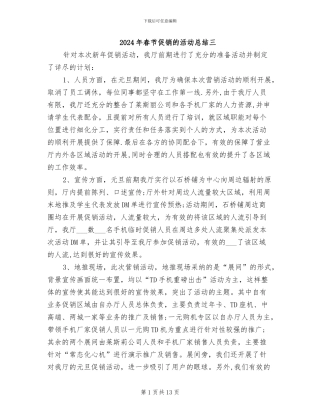 2024年春节促销的活动总结三