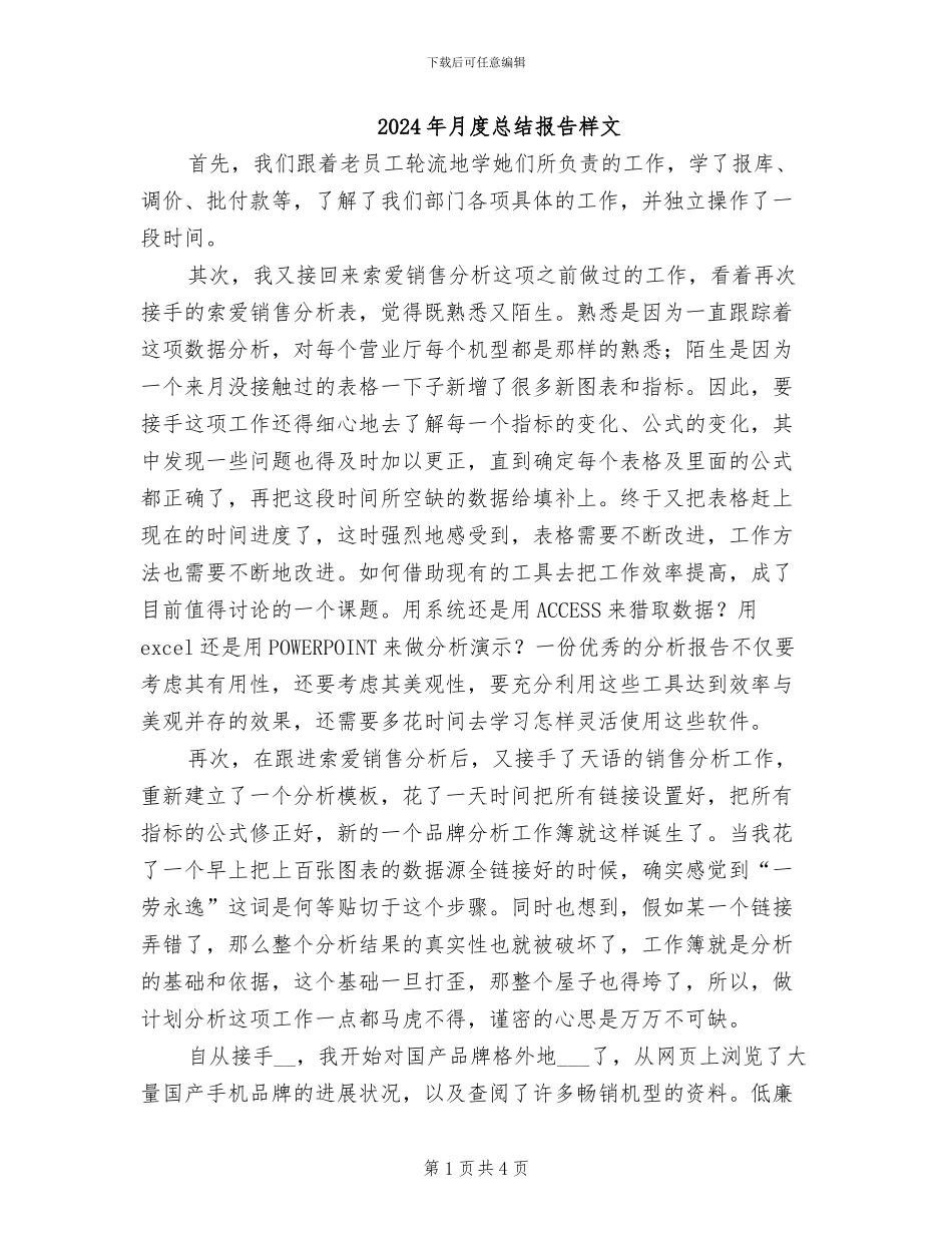 2024年月度总结报告样文_第1页