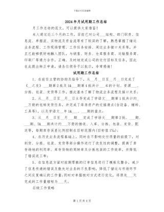 2024年月试用期工作总结