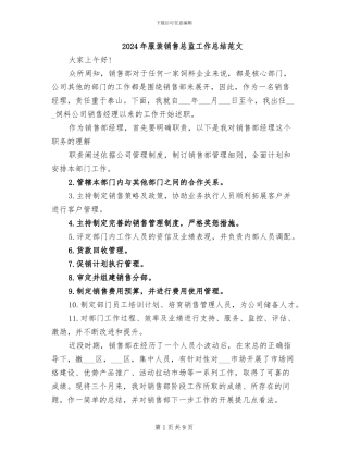 2024年服装销售总监工作总结范文