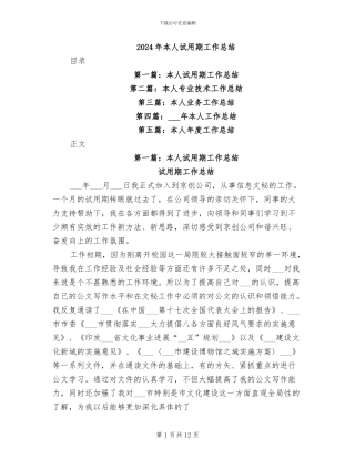 2024年本人试用期工作总结