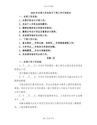 2024年本周工作总结与下周工作计划范本
