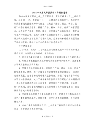 2024年本届支部委员会工作报告总结