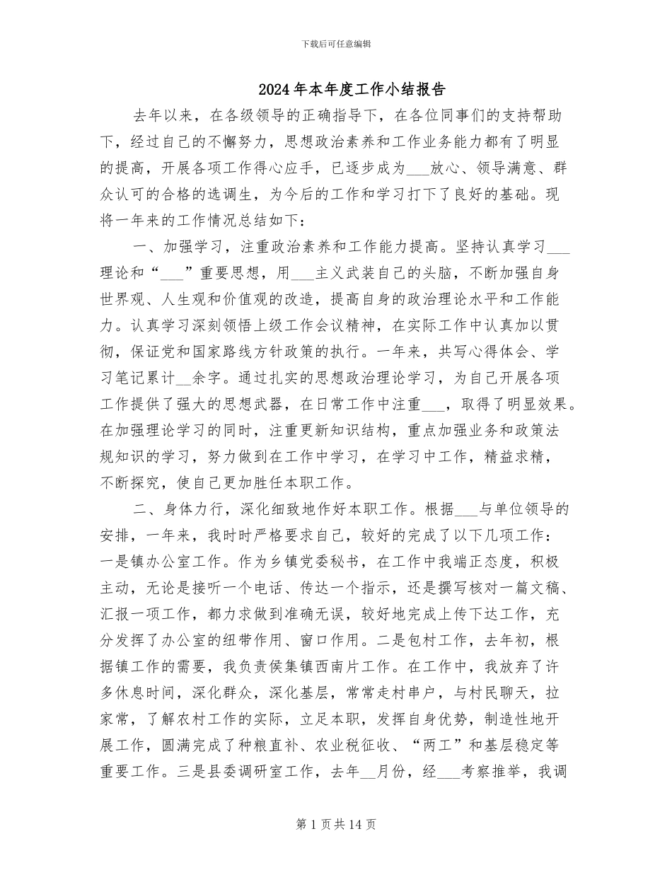 2024年本年度工作小结报告_第1页