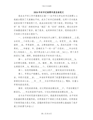 2024年村书记助理年度总结范文