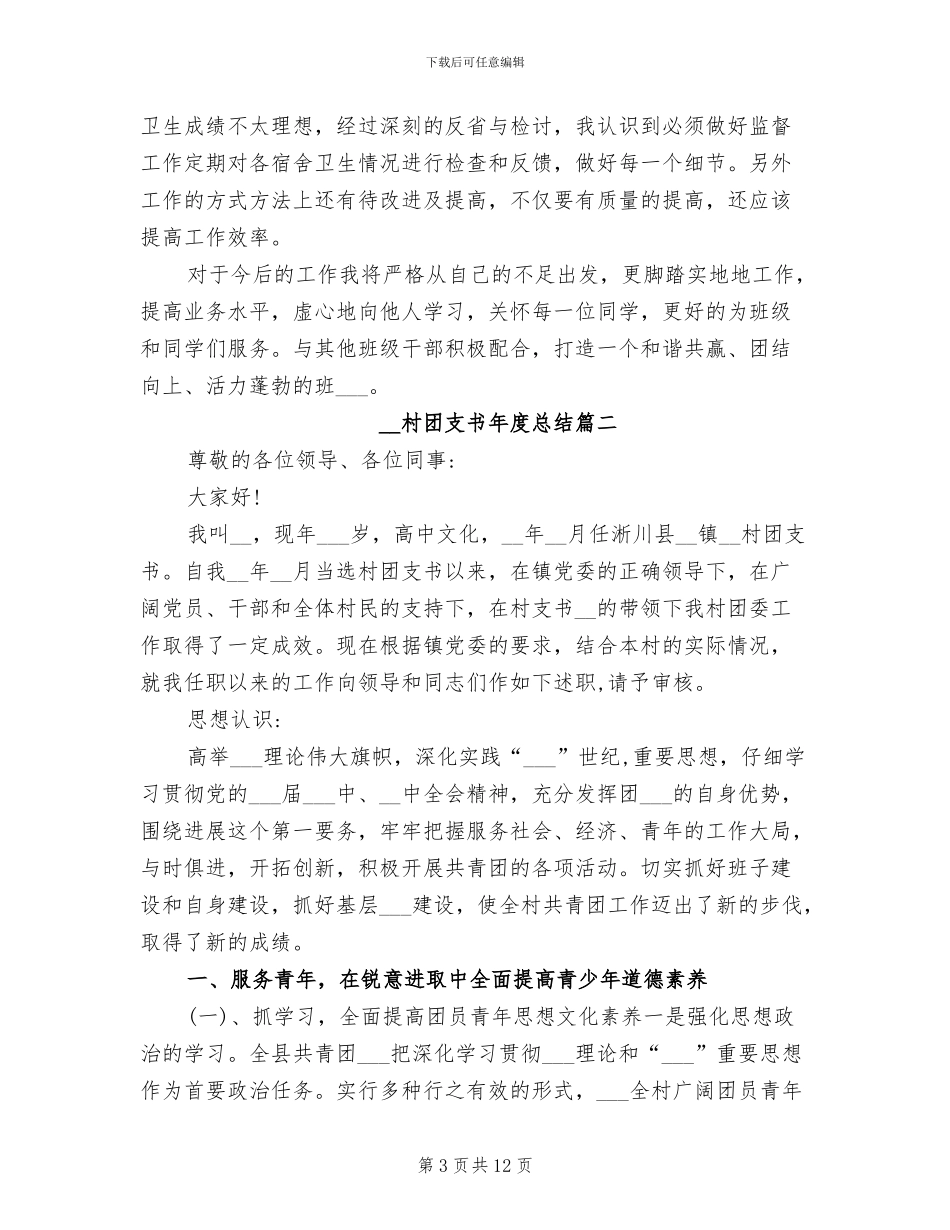 2024年村团委书记个人工作总结_第3页