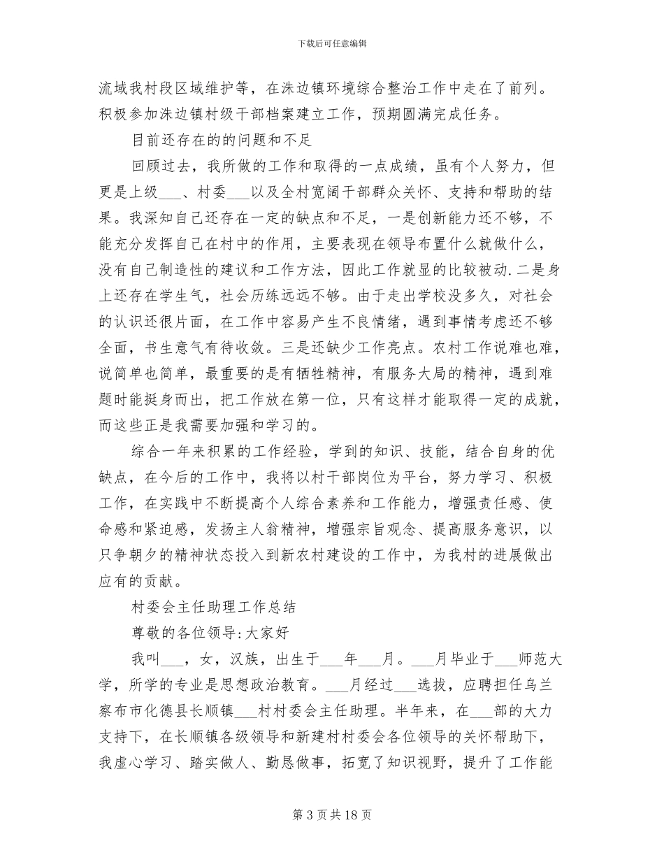 2024年村委会主任工作总结_第3页