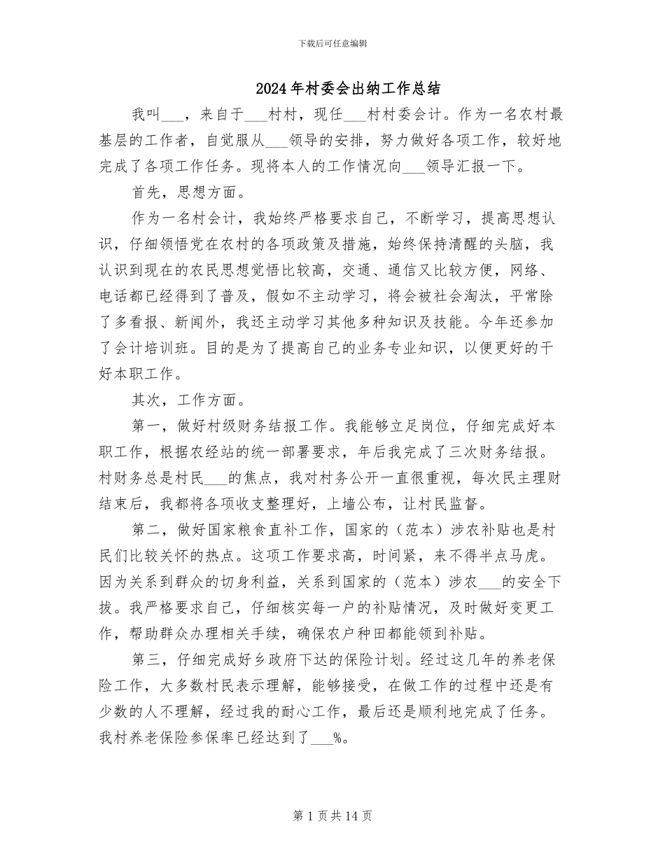 2024年村委会出纳工作总结_第1页