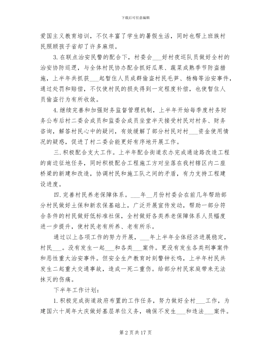 2024年村委工作总结_第2页