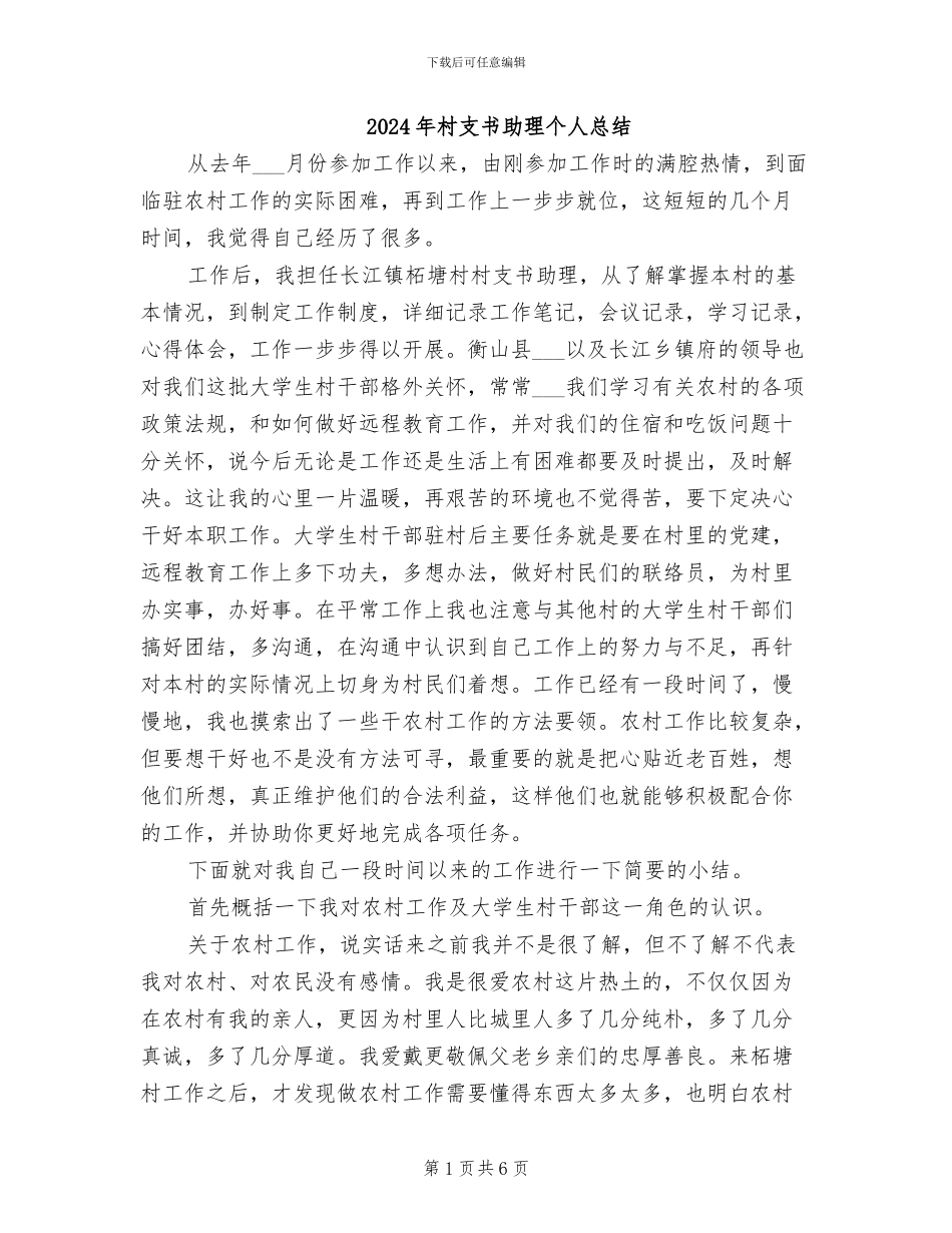 2024年村支书助理个人总结_第1页