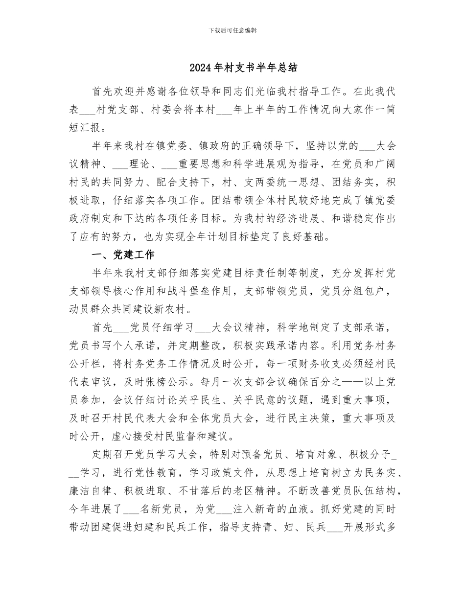 2024年村支书半年总结_第1页