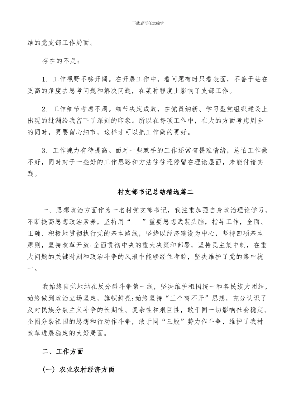 2024年村支部书记总结精选_第3页