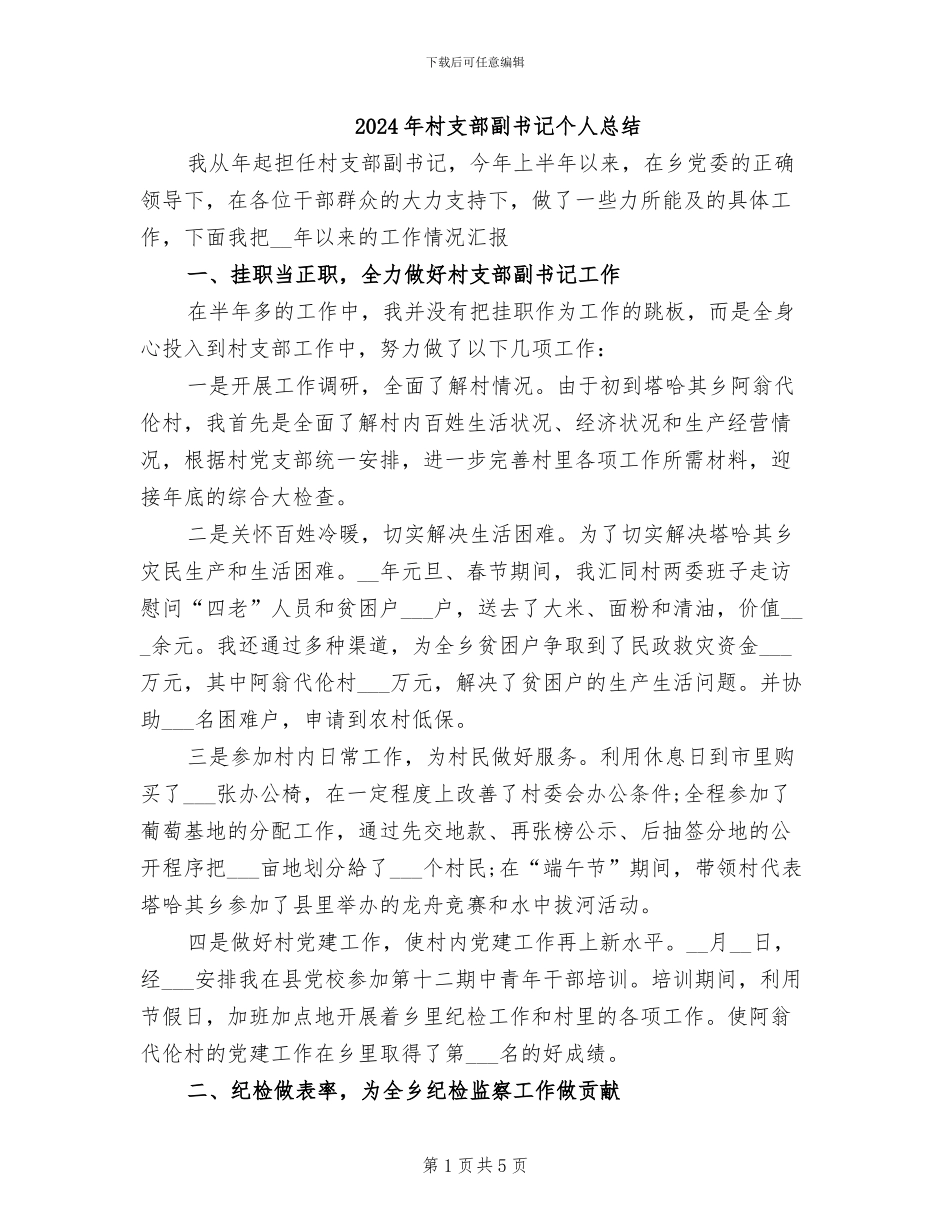 2024年村支部副书记个人总结_第1页