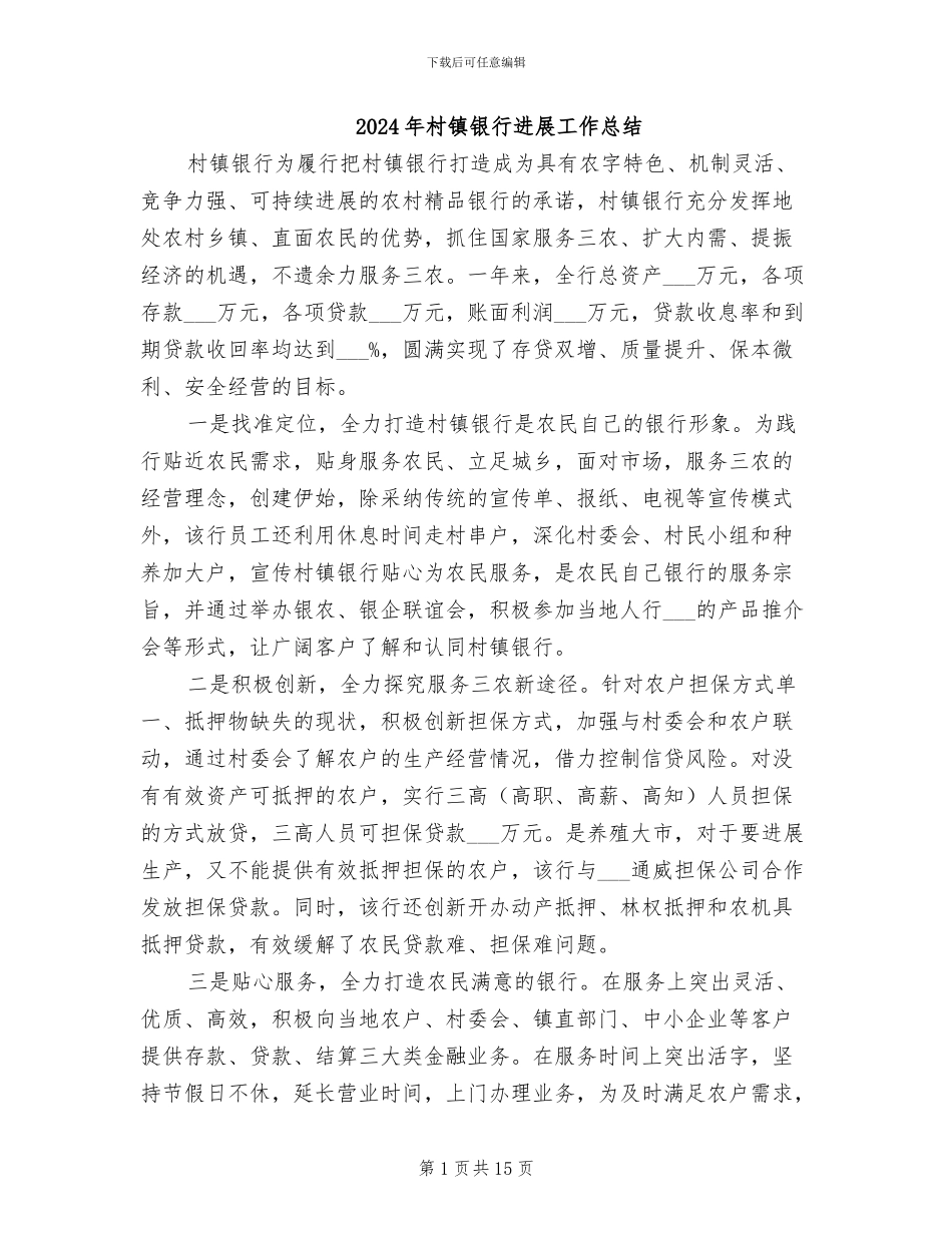 2024年村镇银行发展工作总结_第1页