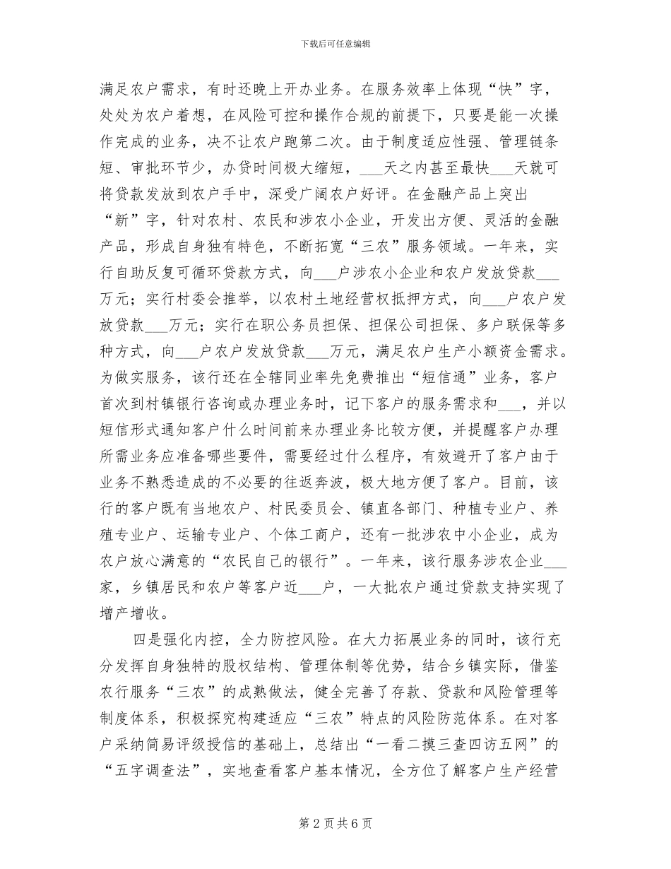 2024年村镇银行年终总结二_第2页