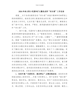 2024年林大附小巩固和扩大整改成果“回头看”工作总结