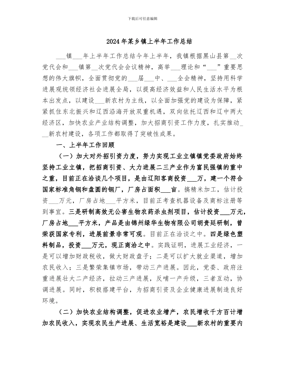 2024年某乡镇上半年工作总结_第1页