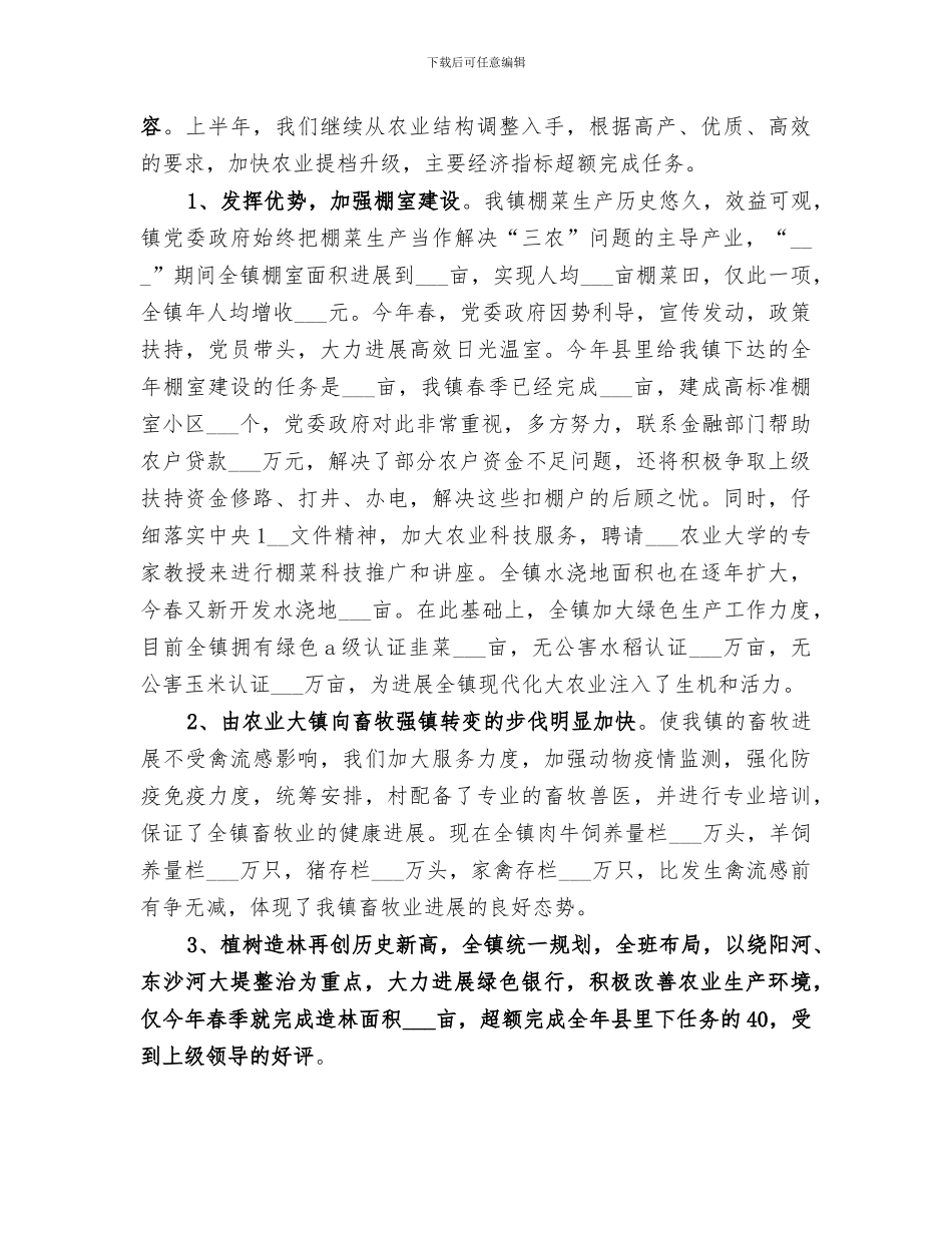 2024年某乡镇上半年工作总结_第2页