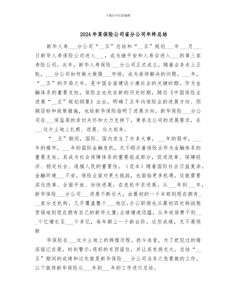 2024年某保险公司省分公司年终总结_第1页