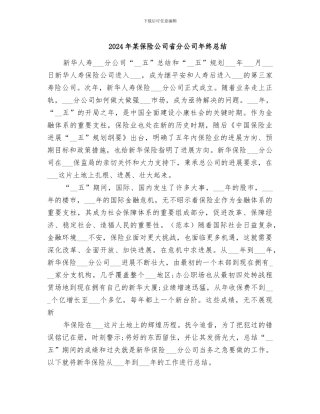 2024年某保险公司省分公司年终总结