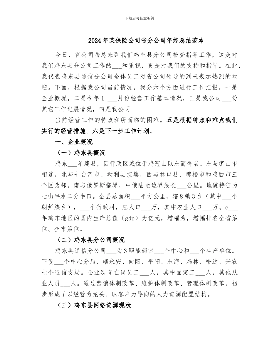 2024年某保险公司省分公司年终总结范本_第1页
