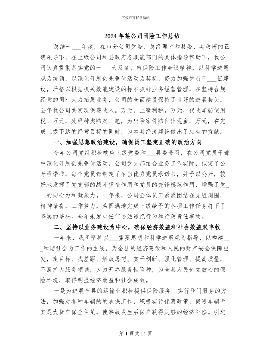 2024年某公司团险工作总结_第1页