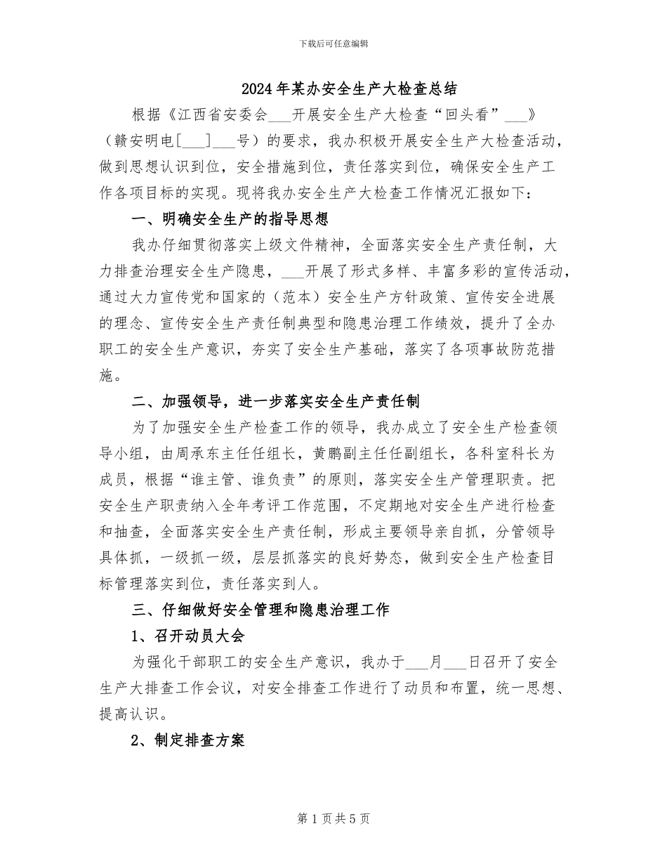 2024年某办安全生产大检查总结_第1页