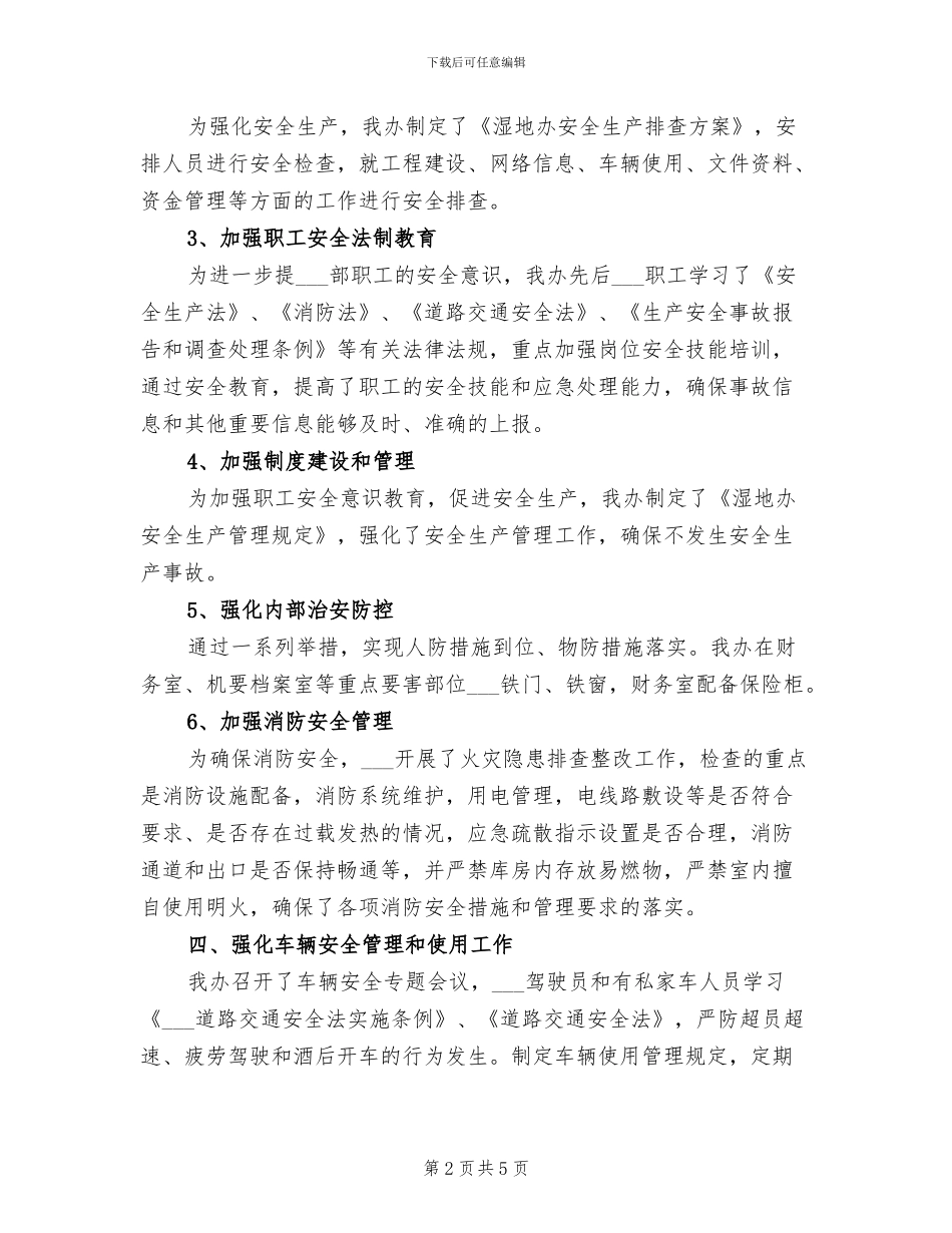 2024年某办安全生产大检查总结_第2页