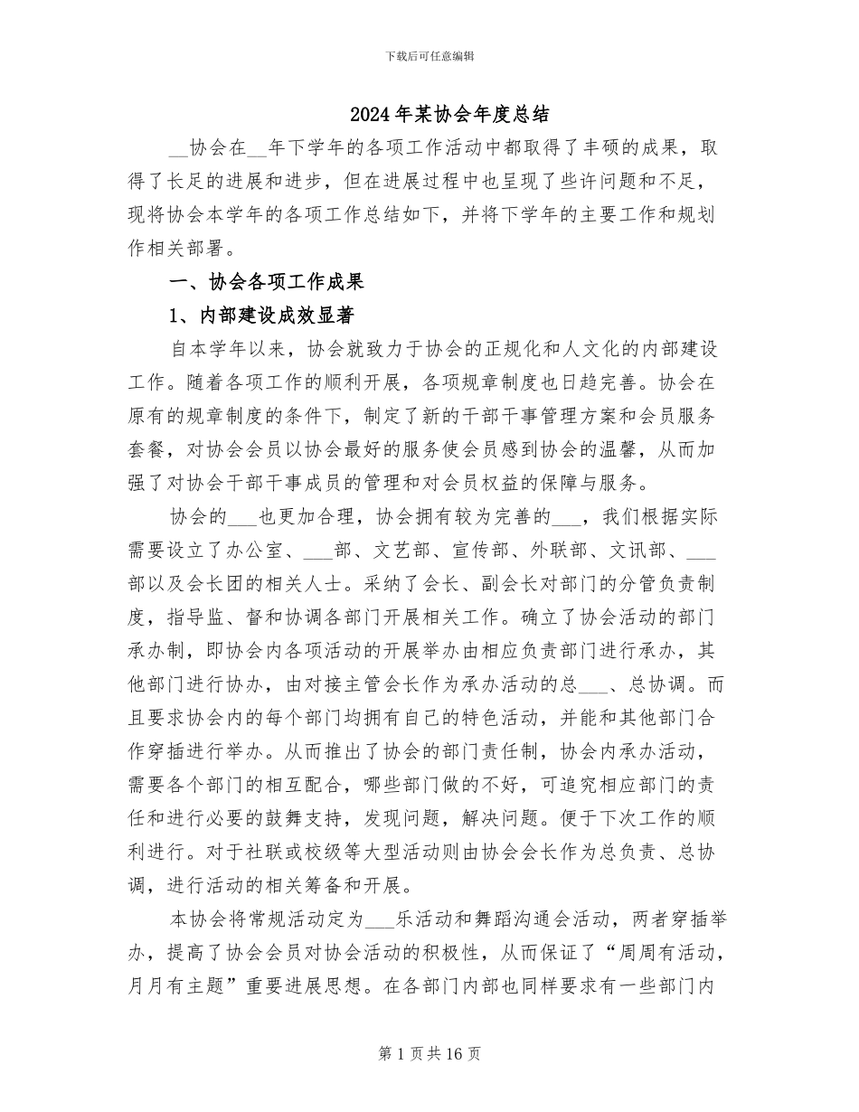 2024年某协会年度总结_第1页