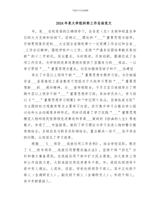 2024年某大学组织部工作总结范文