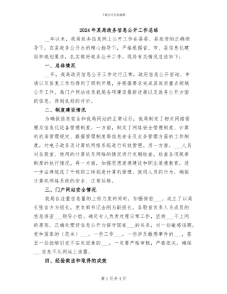2024年某局政务信息公开工作总结