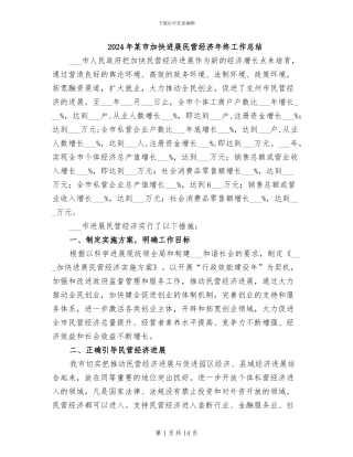 2024年某市加快发展民营经济年终工作总结