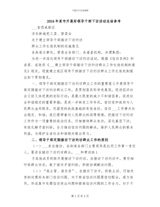 2024年某市开展好领导干部下访活动总结参考