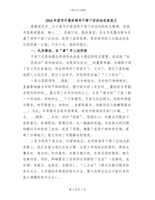 2024年某市开展好领导干部下访活动总结范文