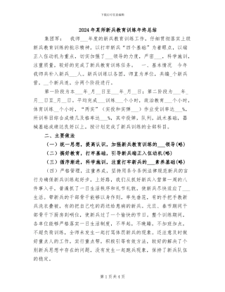 2024年某师新兵教育训练年终总结