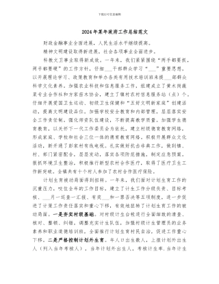 2024年某年政府工作总结范文