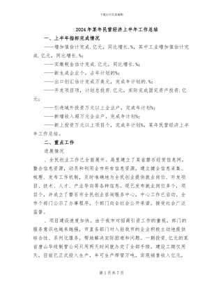 2024年某年民营经济上半年工作总结