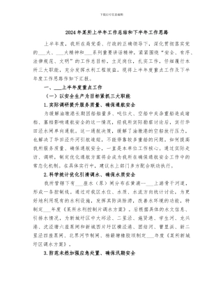 2024年某所上半年工作总结和下半年工作思路