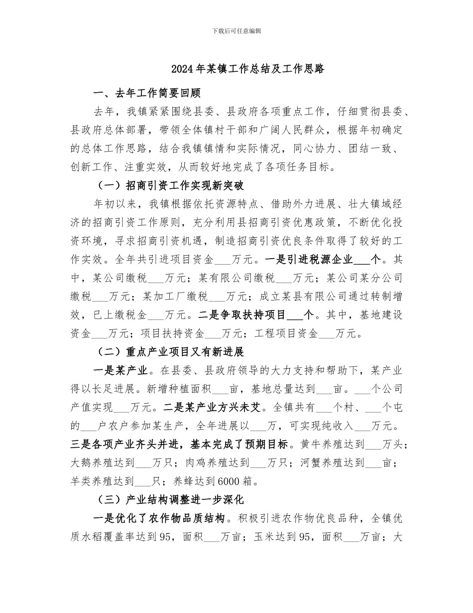 2024年某镇工作总结及工作思路_第1页