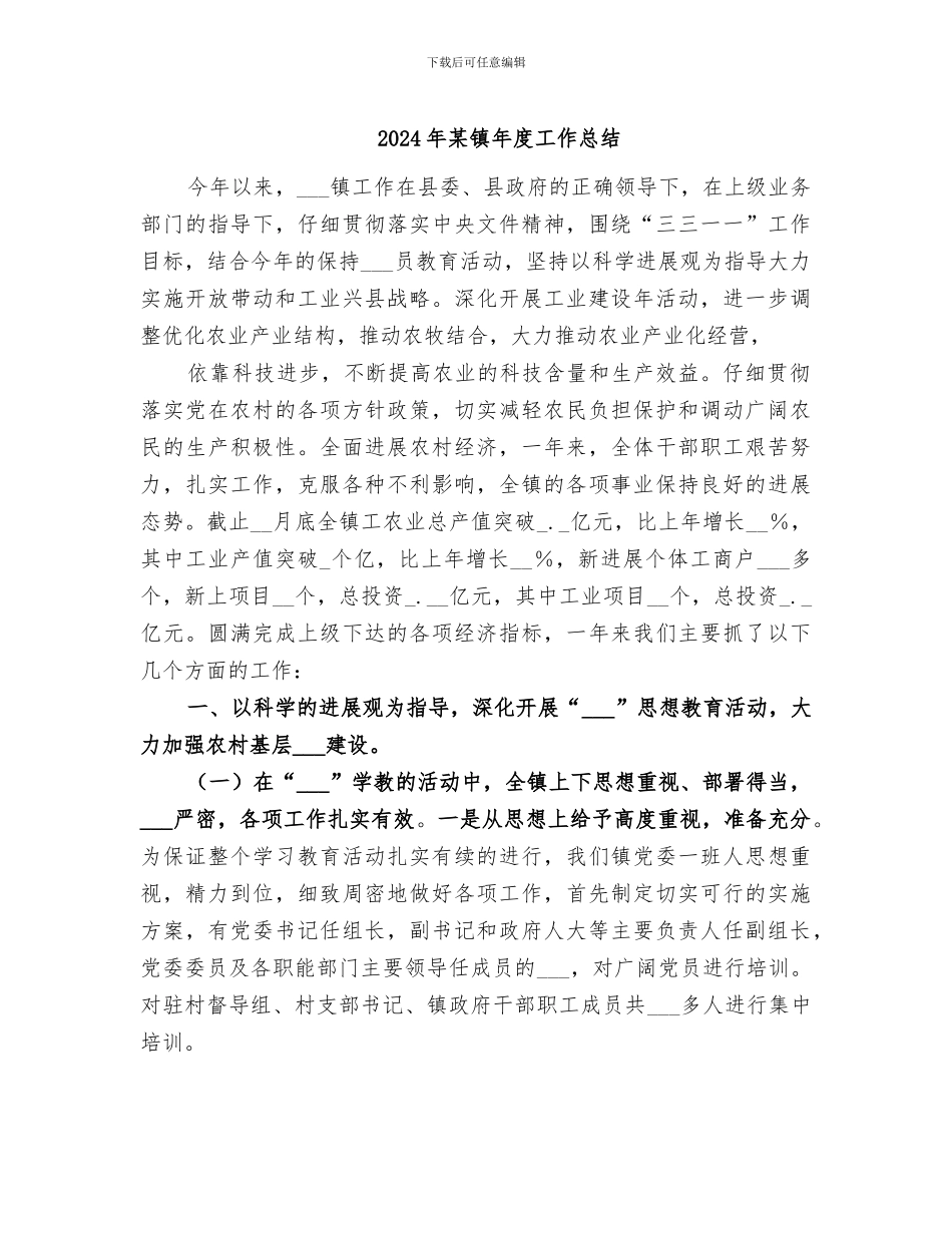 2024年某镇年度工作总结_第1页