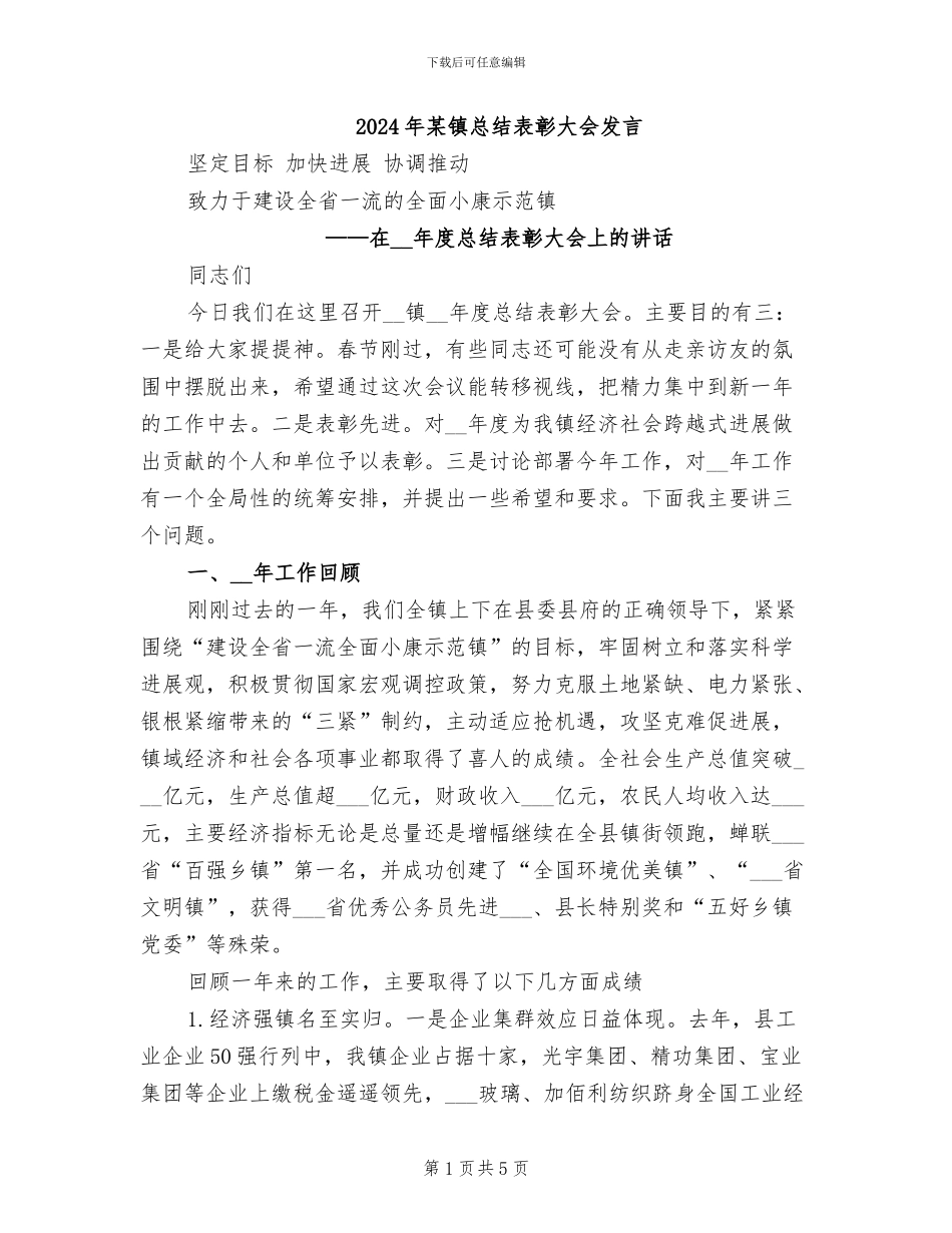 2024年某镇总结表彰大会发言_第1页