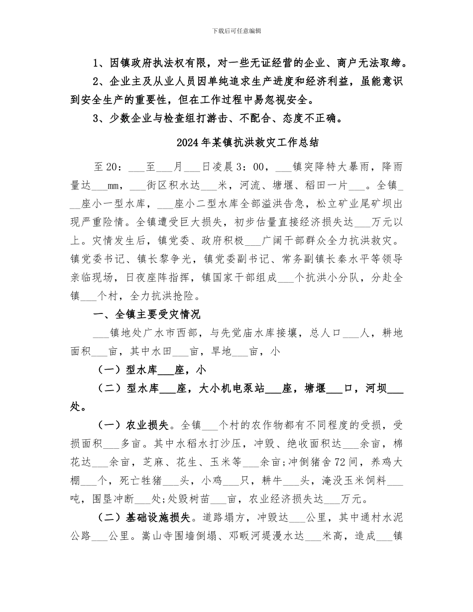 2024年某镇打非治违专项行动工作总结_第3页