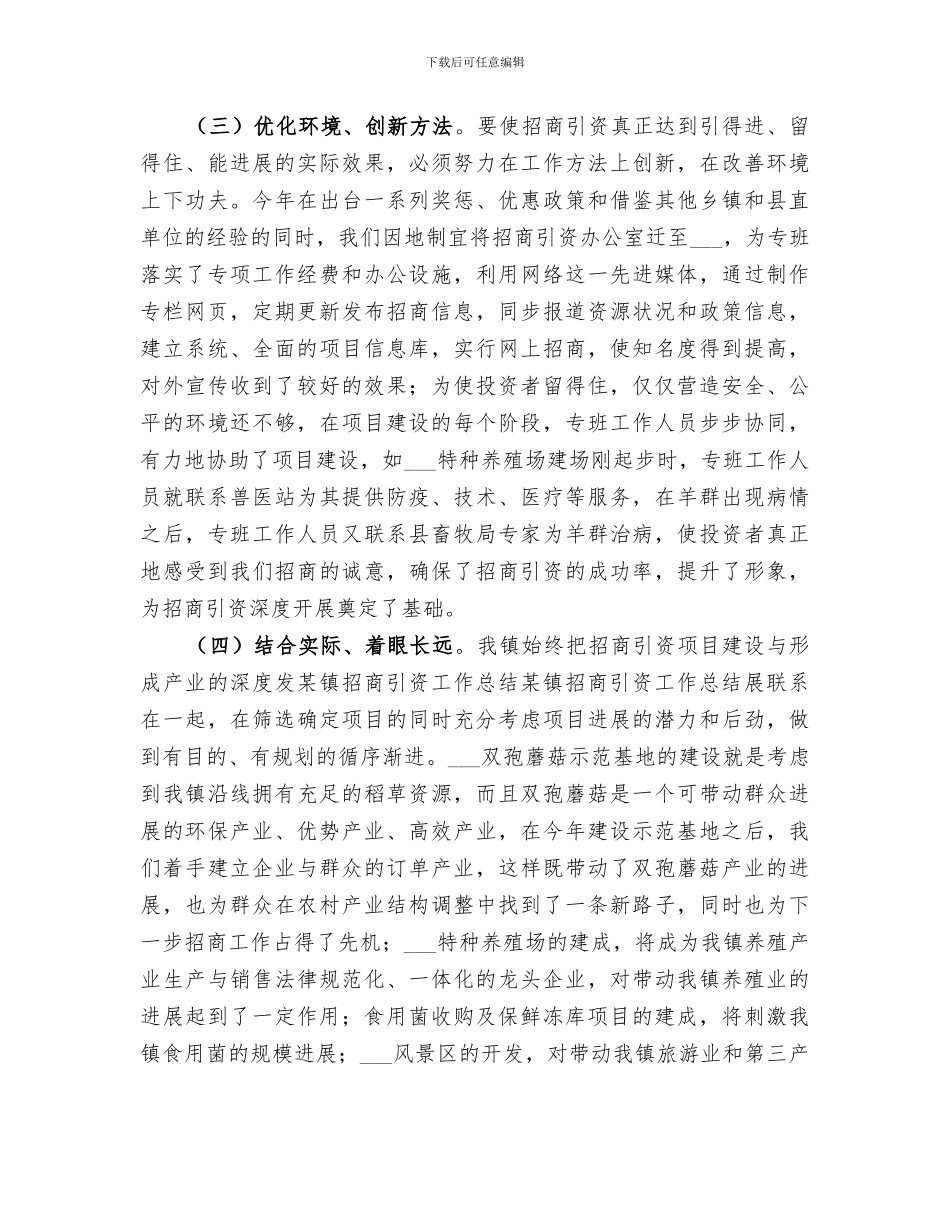 2024年某镇招商引资工作总结范本_第3页