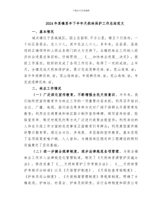 2024年某镇某年下半年天然林保护工作总结范文