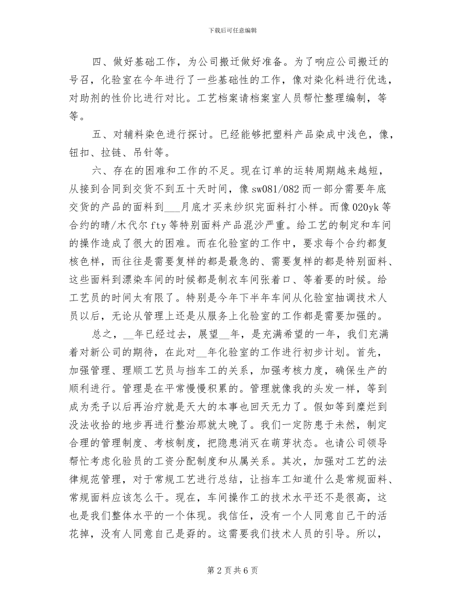 2024年染厂化验员个人工作总结_第2页