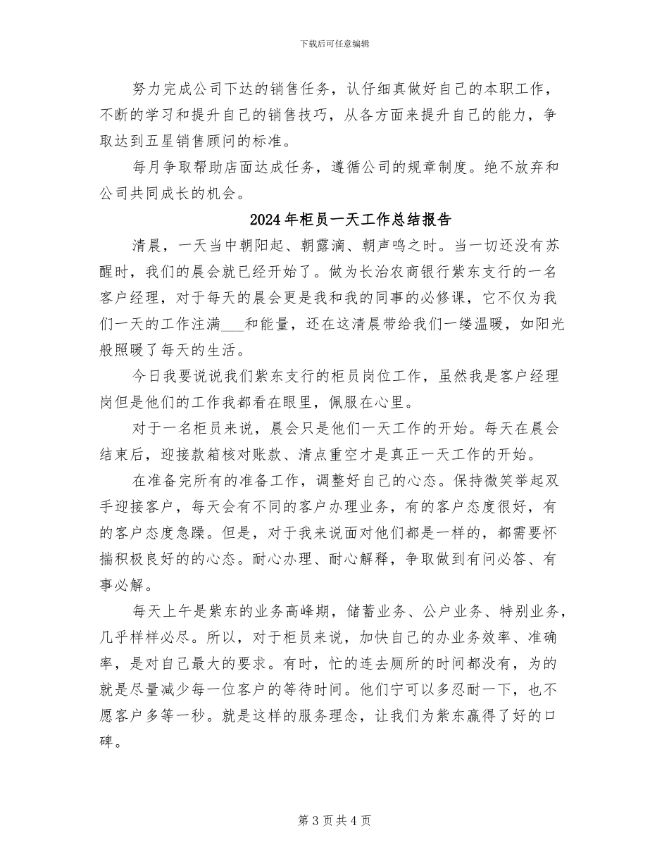 2024年柜台销售员试用期工作总结范文_第3页