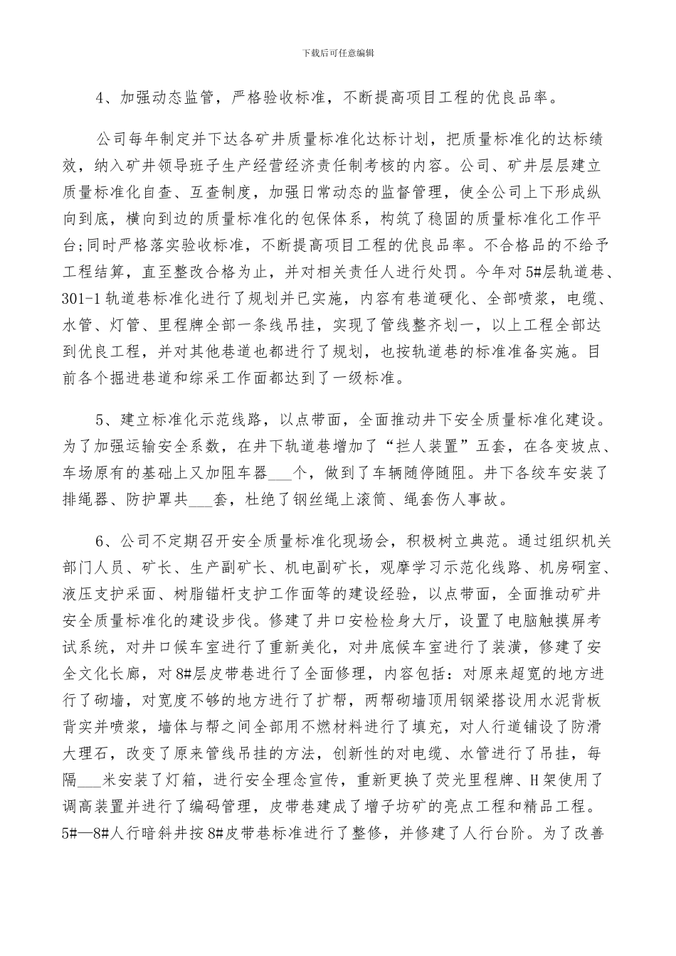 2024年标准化管理经验总结_第3页